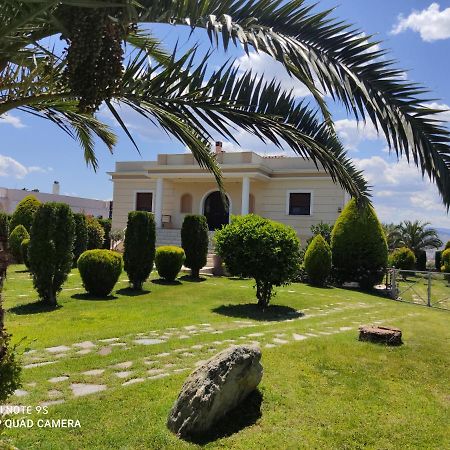 Luxury Villa Thea Volos Bagian luar foto