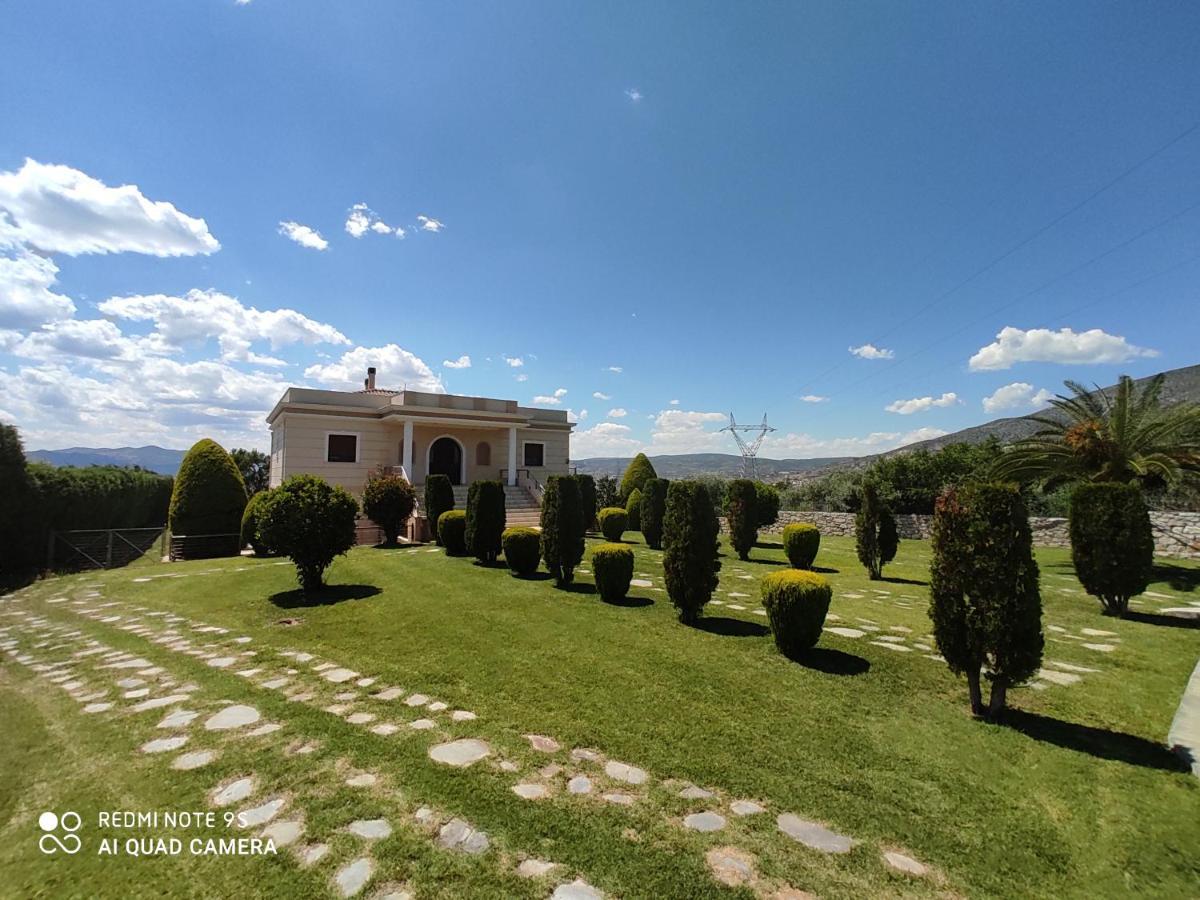 Luxury Villa Thea Volos Bagian luar foto