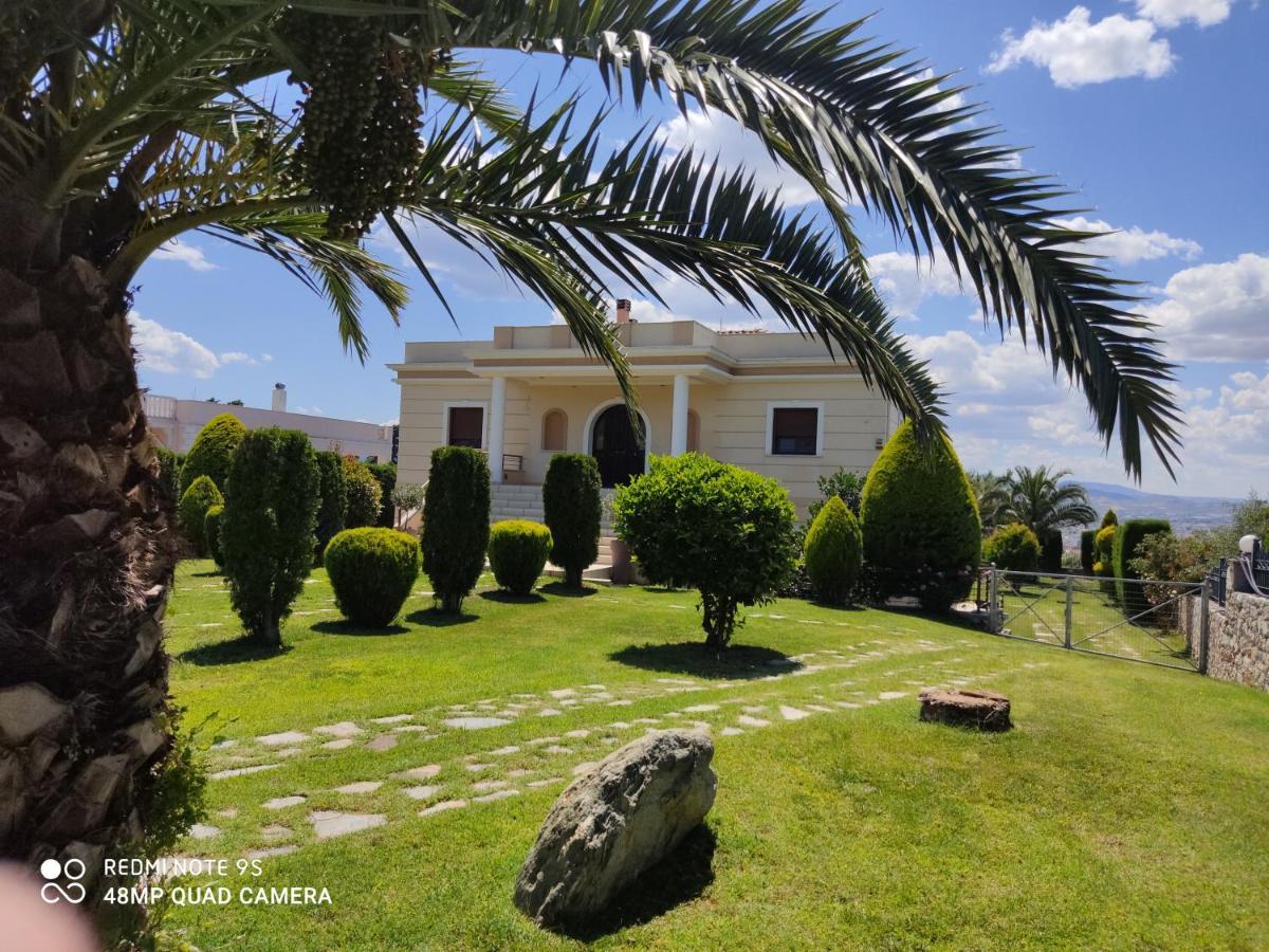 Luxury Villa Thea Volos Bagian luar foto