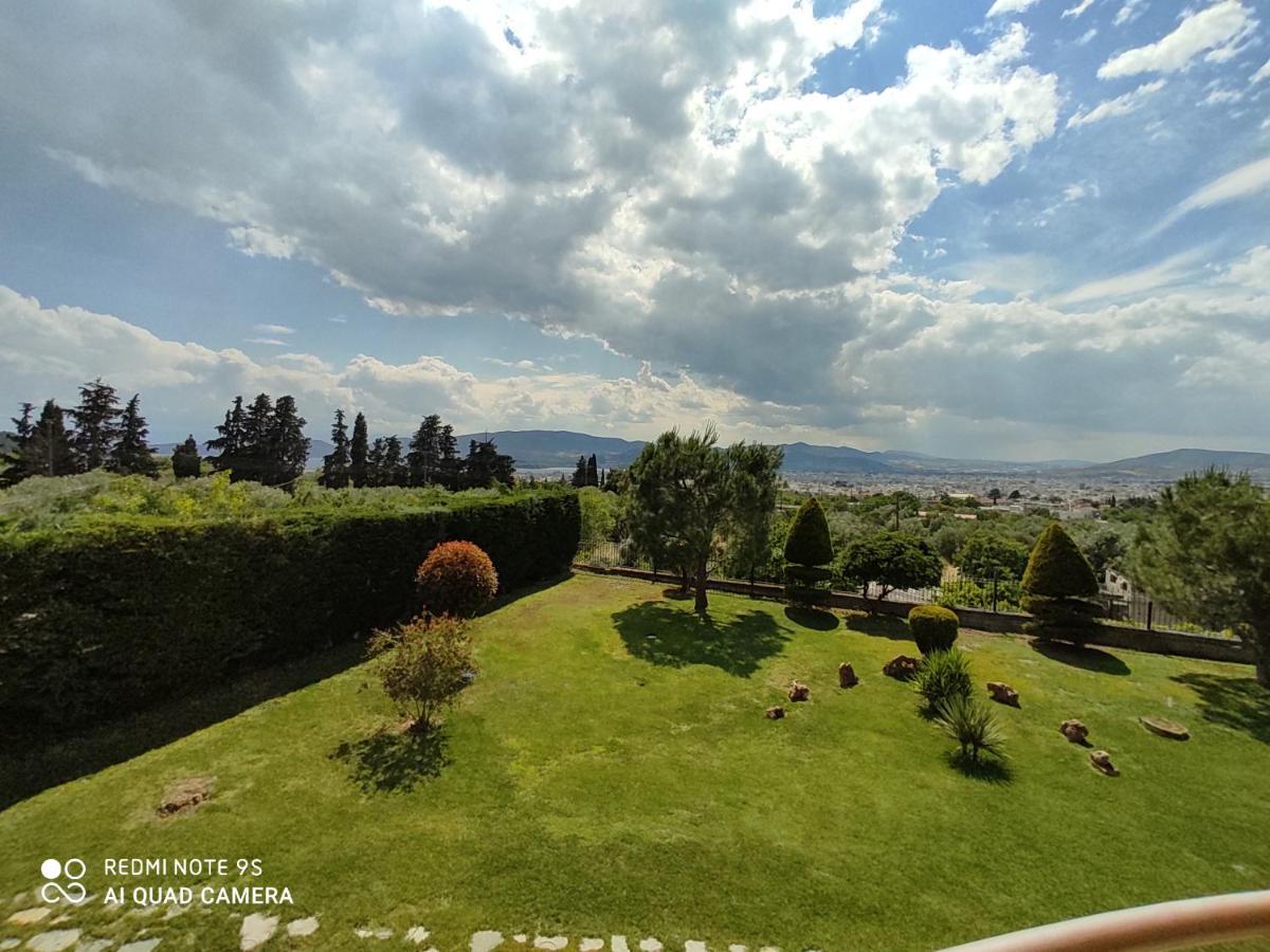Luxury Villa Thea Volos Bagian luar foto