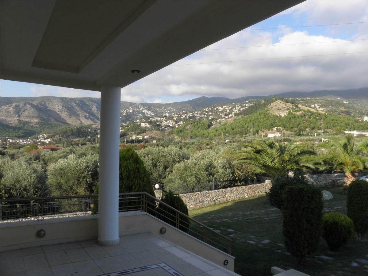 Luxury Villa Thea Volos Bagian luar foto